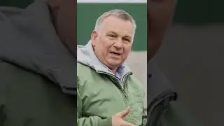 Как сделать компост правильно? Что советует эксперт? #shorts