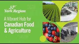 York Region's Agriculture and Agri-Food Sector Tour