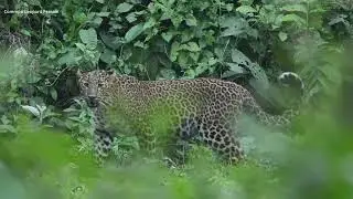 Baghmara Community Forest ! First And Oldest Community Forest In Nepal ! Best Bird And Wildlife Site