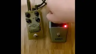 Twin Bender vs Warm Bender (neck hb)