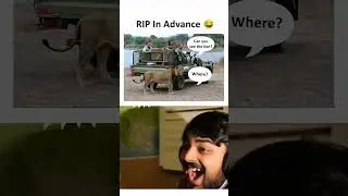 RIP IN ADVANCE #funny #memeedition #memepage #memefeelings #memewebsite #comedy #elatablememes