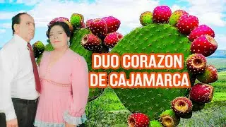 DÚO CORAZON DE CAJAMARCA Tuna verde