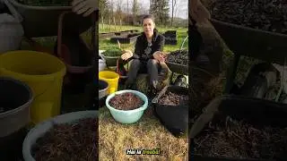 🌱 𝐂𝐞 𝐩𝐨𝐭𝐢 𝐩𝐮𝐧𝐞 𝐢𝐧 𝐠𝐫𝐚𝐦𝐚𝐝𝐚 𝐝𝐞 𝐜𝐨𝐦𝐩𝐨𝐬𝐭 &ndash; 𝐧𝐚𝐭𝐮𝐫𝐚𝐥, 𝐝𝐢𝐯𝐞𝐫𝐬 𝐬𝐢 𝐥𝐚 𝐢𝐧𝐝𝐞𝐦𝐚𝐧𝐚! | 𝐀𝐛𝐮𝐧𝐝𝐞𝐧𝐭𝐚 𝐢𝐧 𝐏𝐞𝐫𝐦𝐚𝐧𝐞𝐧𝐭𝐚