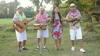 Three Little Birds by The Hummingbirds Band