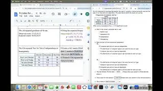 Chi Square test for Independent with R