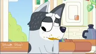 Bluey - Trixie ate all the Chips