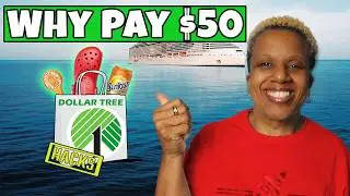 Don&rsquo;t Forget These 10 Surprising Cruise Essentials from Dollar Tree!