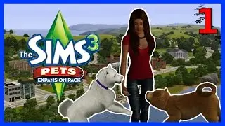 Let's Play: The Sims 3 100 Puppy Challenge || Part 1 || Starting Over! :(