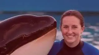 Jessica And Dolphin Real Story Original video