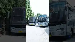 pov: bus rapi kalo ketemu camera