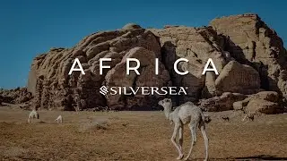 New Voyages Collection 2024/25: Africa with Silversea Cruises