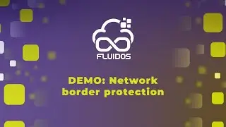 DEMO: Network border protection