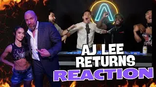 Wrestling Fans Reaction To AJ Lee RETURN To WWE!