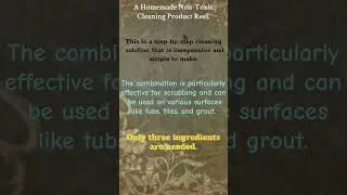 A Homemade Non-Toxic Cleaning Product Reel. (Baking soda, Vinegar, and Salt)