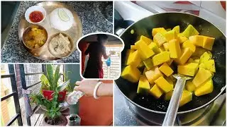 শাশুড়ি মায়ের হাতের 🎯হিট রান্না,নিরামিষ দিনে এরকম নিরামিষ থালী হলে আর কিছু লাগবে না।Niramis recipe