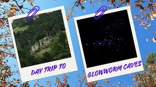 Milky Way Glowworm Cave - Waipu #northisland #daytrip 