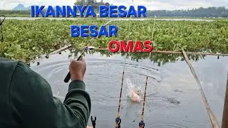 IKAN BANYAK BESAR BESAR‼️SUSAH MAKAN// MANCING CIRATA TERBARU