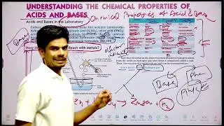 ch 2  Chemical Properties of Acid & bases