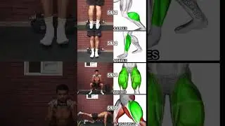 Leg Workout at Home | Full Lower Body Dumbbell Routine 💥