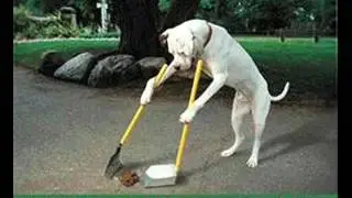 Super Duper Pooper Scooper - Mara Lynn Brown