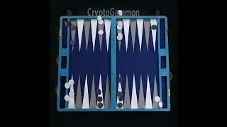 Leather Board S6