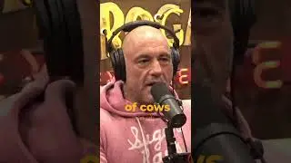 Joe Rogan on Farmers in EU #joerogan #farmersprotest