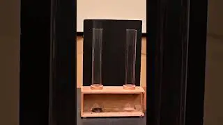 Smoke Convection