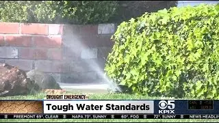 California Regulators Approve Unprecedented Water Cutbacks