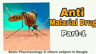 Anti malarial drug | Part -1 | Basic pharmacology & others subject in Bangla 