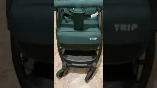 Коляска Indigo Trip