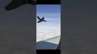 Rotten plane|New Trevor Henderson🛫