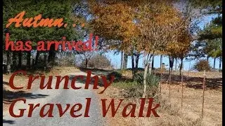 ASMR — Autumn is Here — Cool & Crunchy Gravel Walk