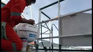 Evolution 28 port of registry Basseterre 💪💪💪