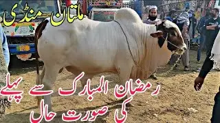 Ramzan Mubarak Say Pehlay Multan Mandi Kay kia rates hain Qurbani 2023 Abluk Cholistan sahiwal
