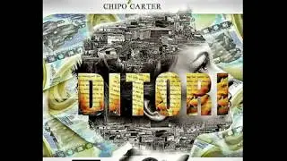 Tailor Made Music - Ditori