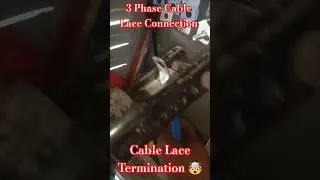 3 Phase Cable Lace Termination 😭▶️ #wiring #electrical #mcb #electrician