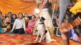Shiv Parvati ka dance dekhne aaya sheru 👀