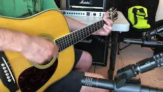 Antelope Discrete 8 Premium - Acoustic Guitar with 2 Verge Mics