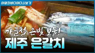 가을하면 이 생선이 빠질 수 없다! 제철 맞은 제주 은갈치가 돌아왔습니다! #갈치 #제주갈치 #제주은갈치 #생선 #바다 #가을음식