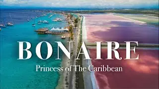 BONAIRE Caribbean Island - Best scuba diving sites