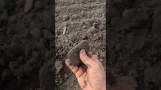 Kupferaxt/Bakarna Sekira