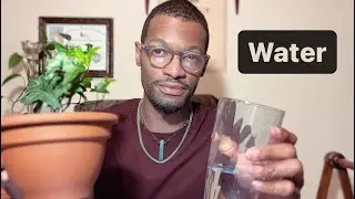 How to water indoor Plants 2023