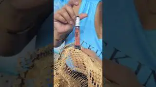 #lagirlproconcealer #makeuptutorial #beauty #lagirlcosmetics #makeuphacks #lipstick #makeup