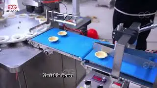 Fully automated egg tart crust production line