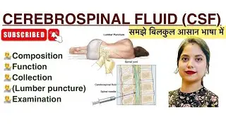 Cerebrospinal fluid in Hindi | CSF | Lumber puncture | Examination | MLT