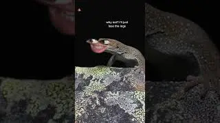ИСПОЛЬЗУЙТЕ НОГИ