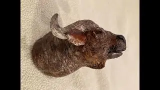 Creations in Clay Cape Buffalo Head - Part 1 of 2 - How to Create