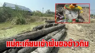 ป้าวัย 69 ปี ไหว้ขอโชค แม่ตะเคียน 25 ต้น หลังไปเข้าฝันขอข้าวกิน ไม่ผิดหวังได้เลขเด็ดสมใจ : RECAP