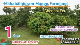 ID1612🌴50 cent Prime Farmland Sale chennai Ecr🌳Mahabalipuram/Poonjeri🌴Resort/Retirement Home🌳Mr.Ashi