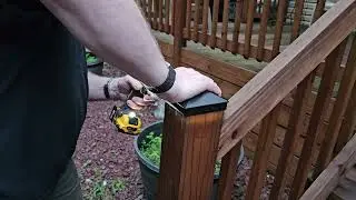 3.5
